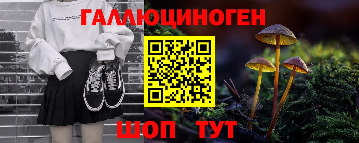 где купить наркоту  Вход с VPN  Северодвинск  Псилоцибиновые грибы Cubensis 
